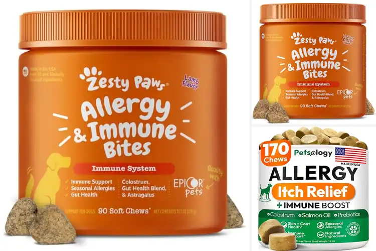 Detailed view of Best Allergy Relief For Dog Skin: 10 Fast Solutions