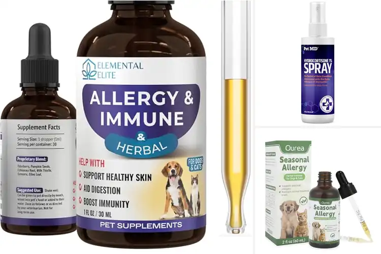 Detailed view of Best Allergy Relief For Dogs And Cats