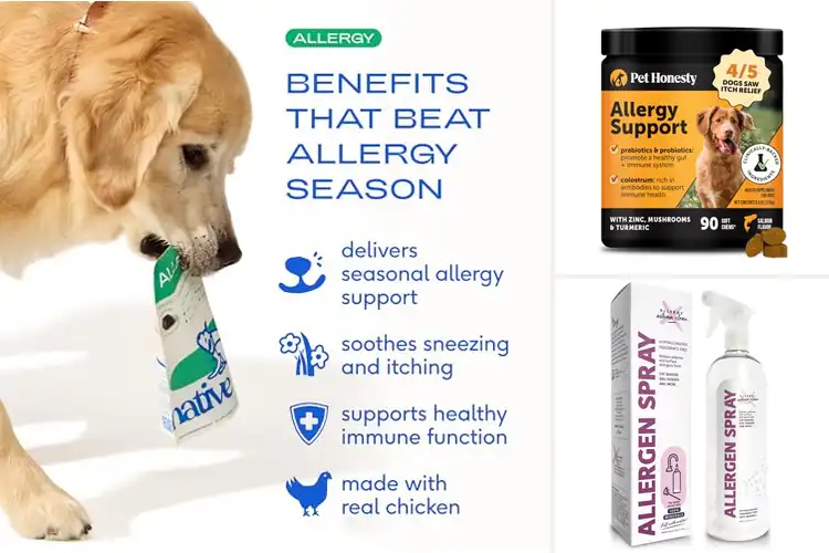 Detailed view of Best Allergy Relief Products For Pets