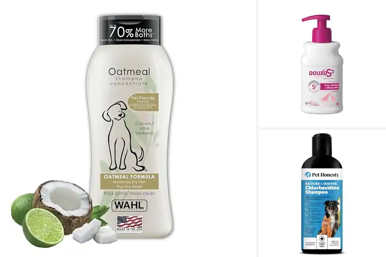 Detailed view of Best Allergy Relief Shampoos For Dogs