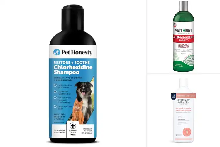 Detailed view of Best Allergy Relief Shampoos for Happy, Itch‑Free Pets