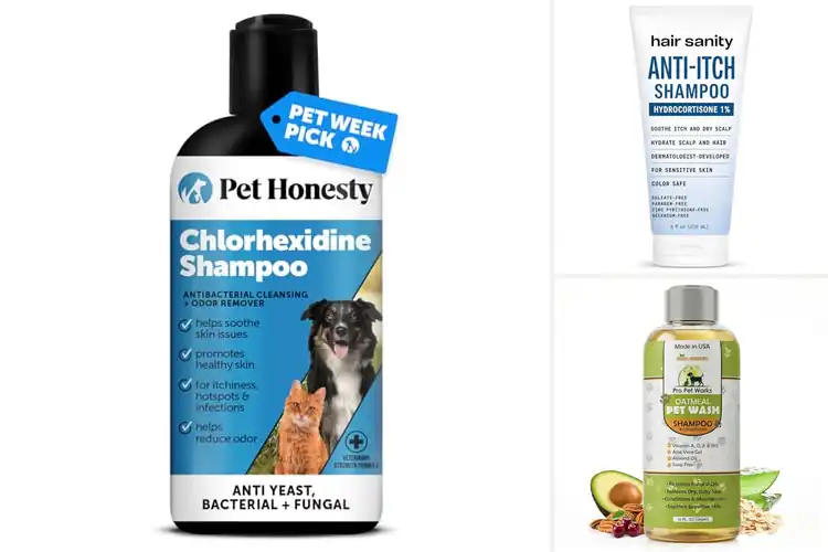 Detailed view of Best Anti Itch Shampoo For Sensitive Skin