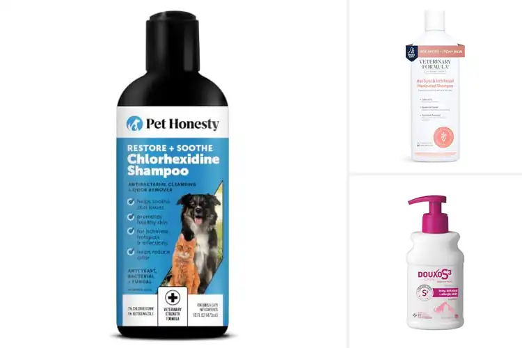 Detailed view of Best Anti Itch Shampoos For Dogs
