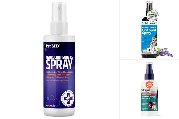 Detailed view of Best Anti Itch Spray For Dogs And Cats