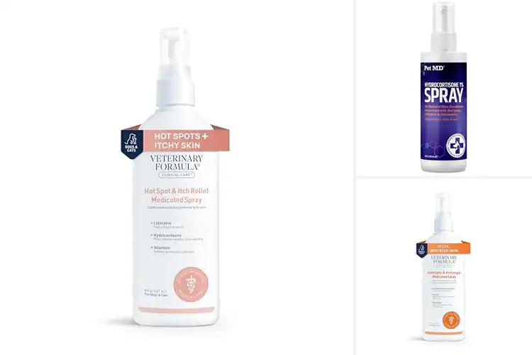 Detailed view of Best Anti Itch Sprays For Cats: Soothe Irritation Fast
