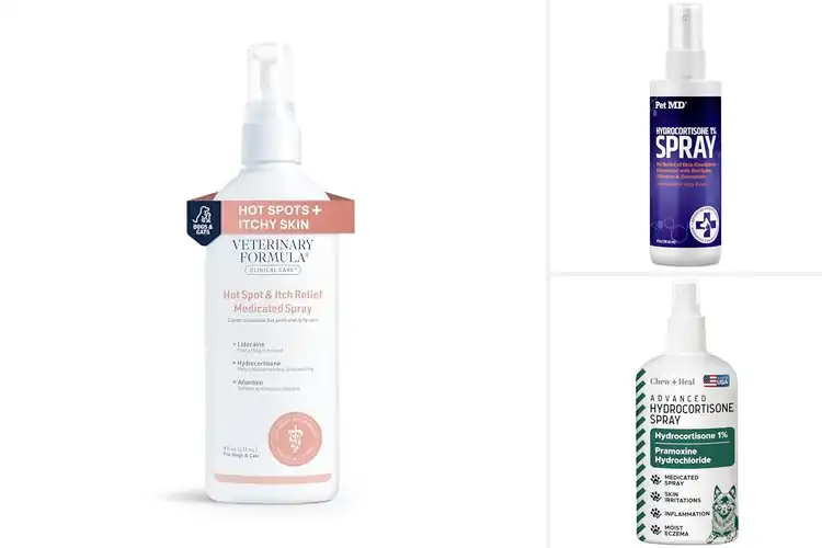 Detailed view of Best Anti Itch Sprays for Dogs: Fast Soothing Relief