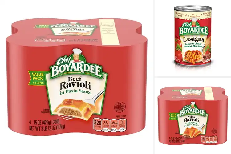 Detailed view of Best Canned Pasta Meals
