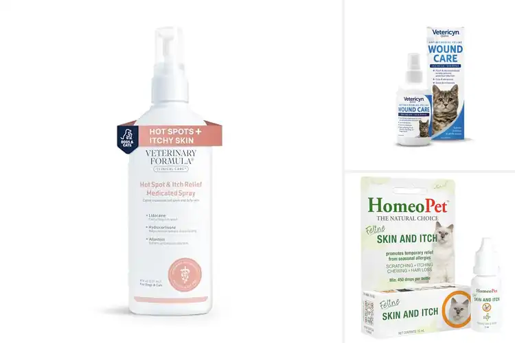 Detailed view of Best Cat Itch Relief: Top Solutions for Your Cat’s Comfort