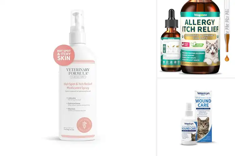 Detailed view of Best Cat Itch Relief Solutions: Quick Comfort for Your Kitty