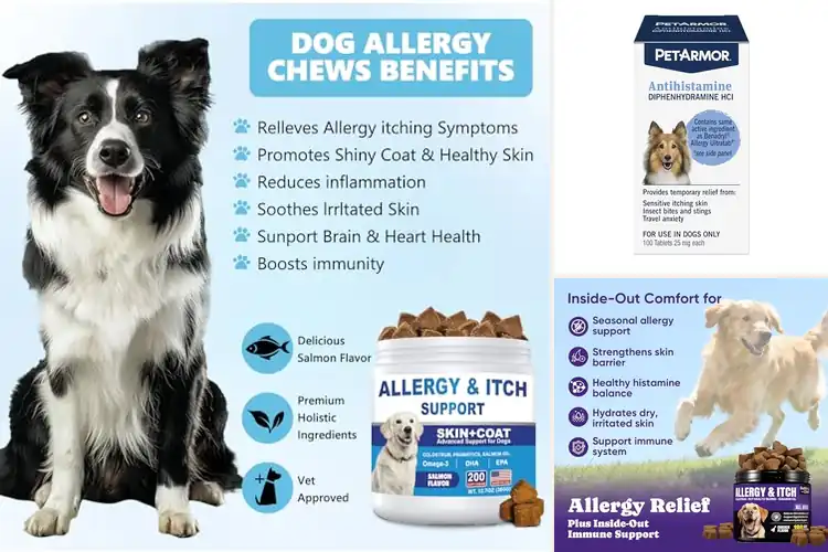 Detailed view of Best Dog Allergy Relief Kits