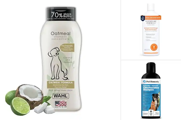 Detailed view of Best Dog Allergy Relief Shampoos: 10 Soothing Skincare Picks