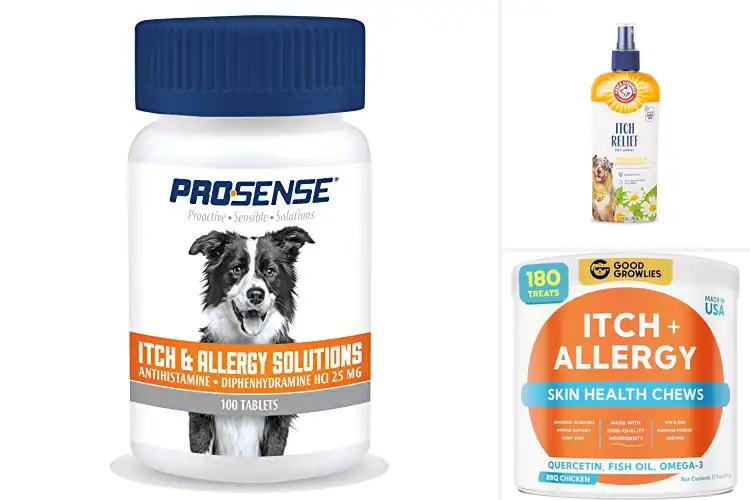 Detailed view of Best Dog Allergy Relief Solutions