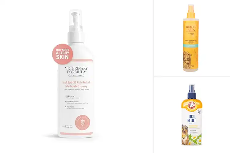 Detailed view of Best Dog Anti-Itch Sprays for Fast Relief & Soothing Comfort