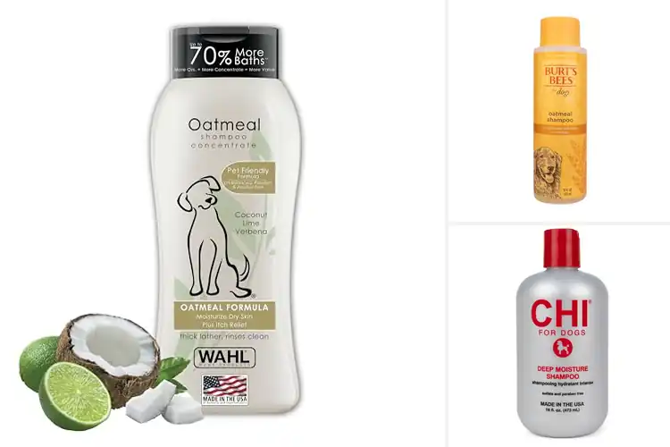 Detailed view of Best Dog Hydrating Shampoos: Top 10 for a Soft, Shiny Coat