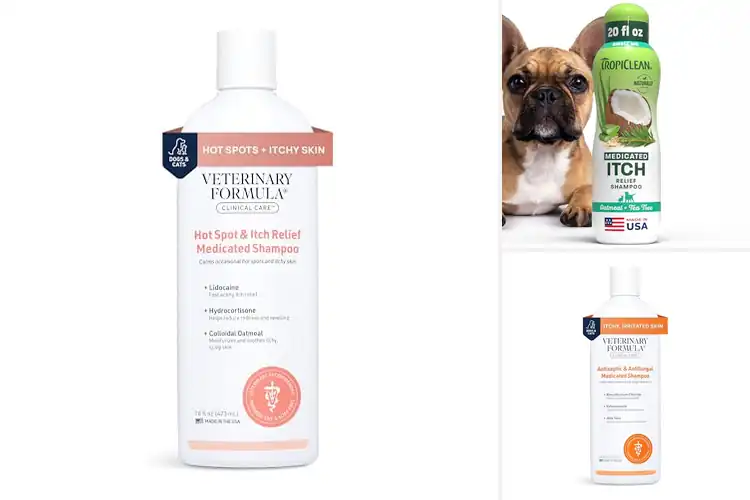 Detailed view of Best Dog Itch Relief Shampoos