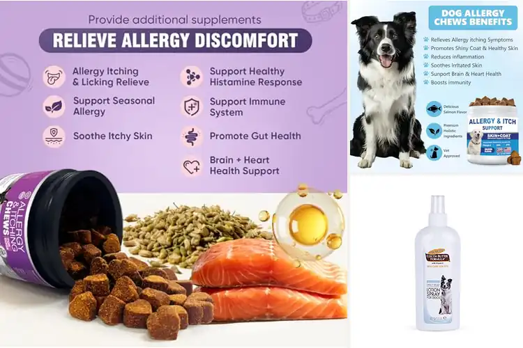 Detailed view of Best Dog Skin Allergy Care Items: Top 10 Soothing Solutions