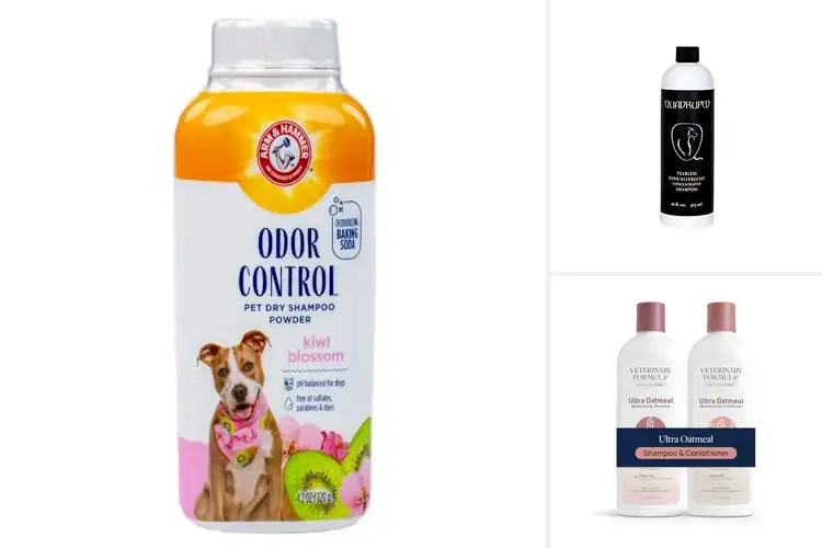 Detailed view of Best Dye Free Pet Care Products