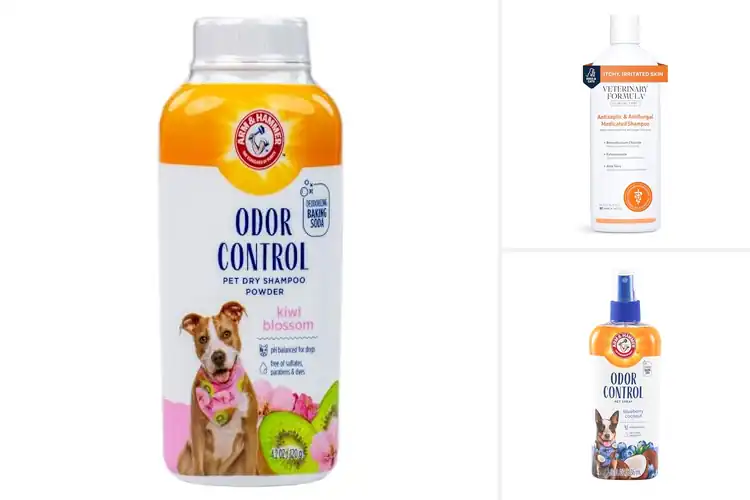 Detailed view of Best Dye Free Pet Products