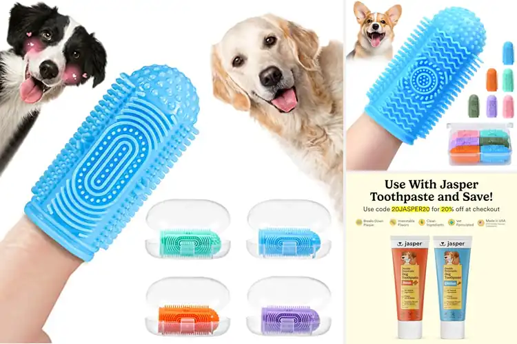 Detailed view of Best Finger Toothbrushes For Pets