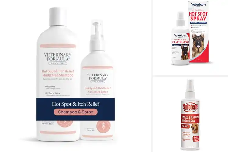 Detailed view of Best Hot Spot Relief Bundles For Dogs
