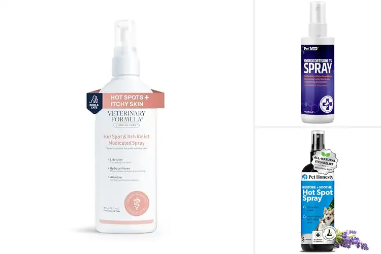Detailed view of Best Hot Spot Relief For Pets: 10 Safe & Effective Solutions