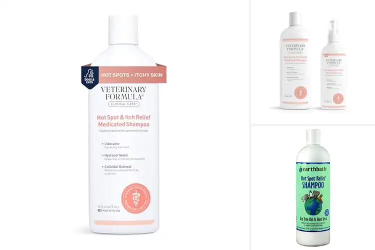 Detailed view of Best Hot Spot Relief Shampoos