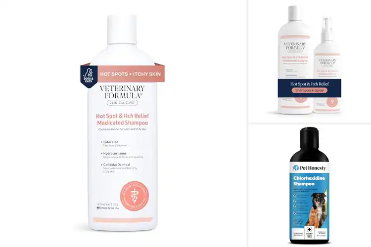 Detailed view of Best Hot Spot Shampoo For Dogs And Cats