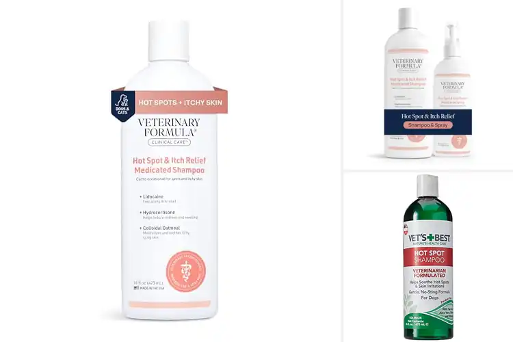 Detailed view of Best Hot Spot Shampoos