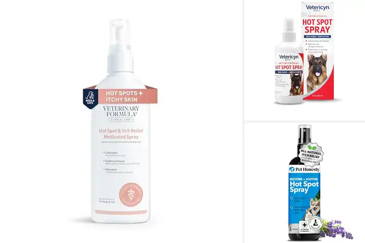 Detailed view of Best Hot Spot Spray For Dogs