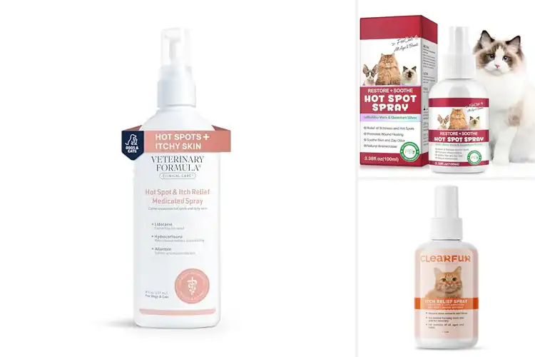 Detailed view of Best Hot Spot Sprays for Cats