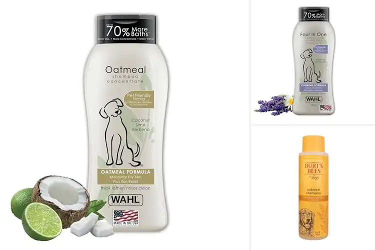 Detailed view of Best Hydrating Dog Shampoo