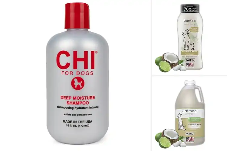 Detailed view of Best Hydrating Dog Shampoos