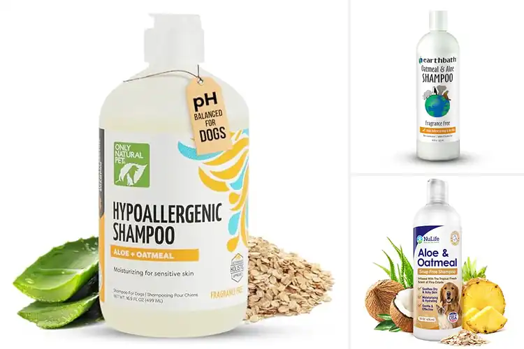 Detailed view of Best Hydrating Oatmeal Aloe Shampoo