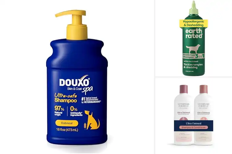 Detailed view of Best Hydrating Shampoo For Dog Coat