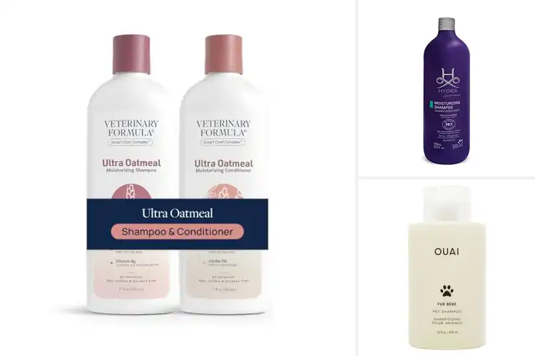 Detailed view of Best Hydrating Shampoo For Dogs And Cats