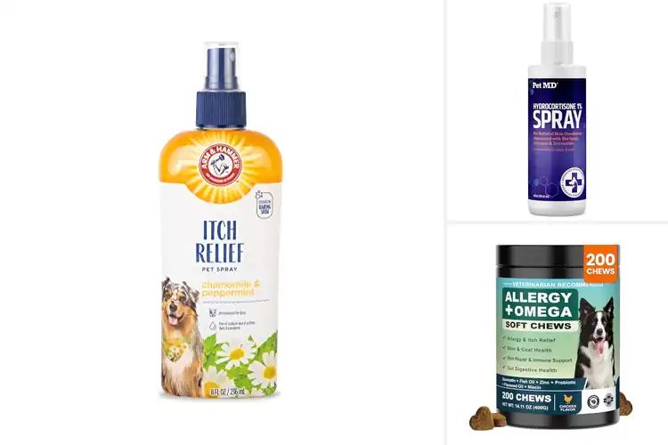 Detailed view of Best Itch Relief Duo For Pets: Top Picks for Instant Comfort