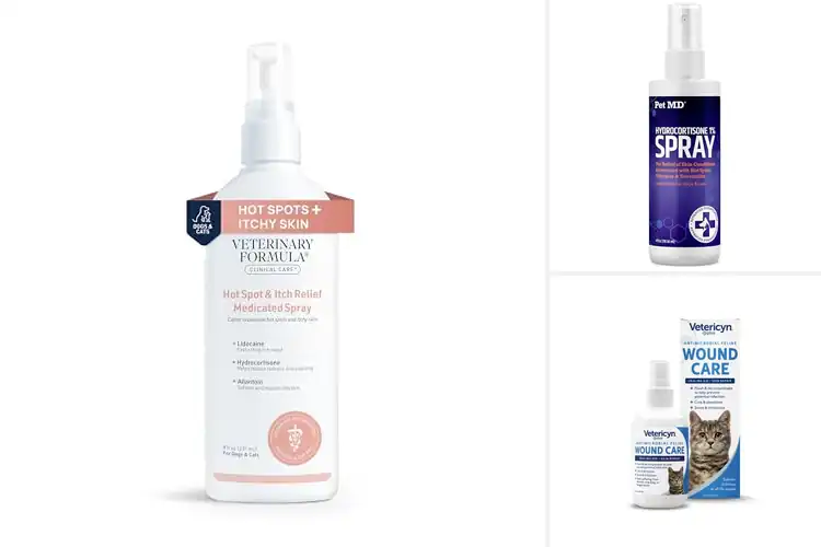 Detailed view of Best Itch Relief For Cats