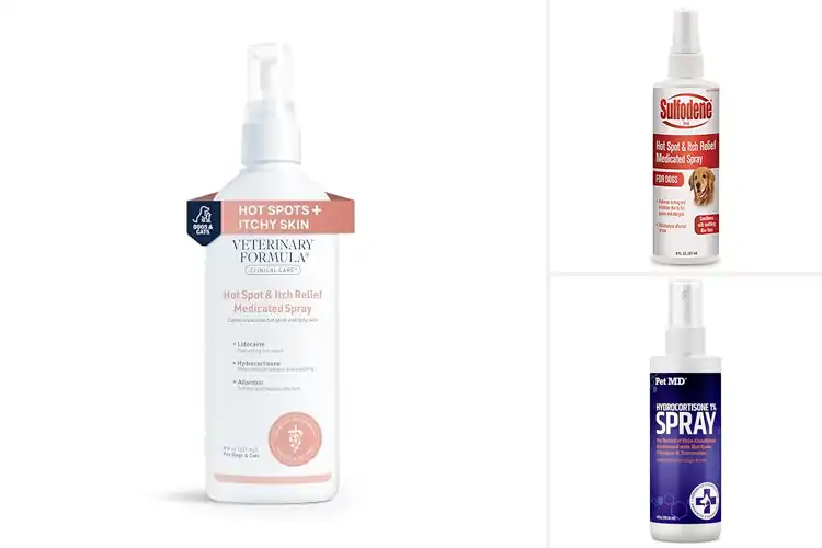 Detailed view of Best Itch Relief For Dog Hot Spots