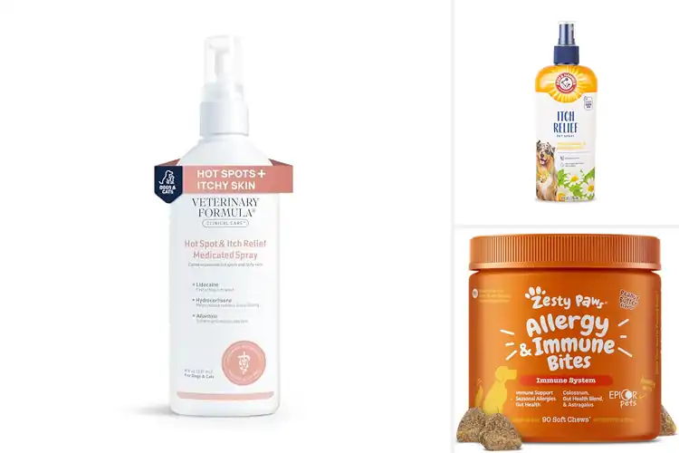 Detailed view of Best Itch Relief For Dogs