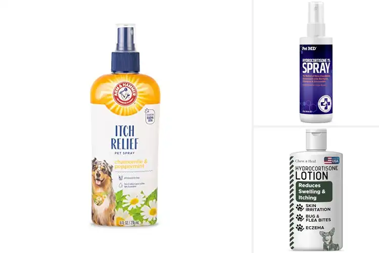 Detailed view of Best Itch Relief Kits For Pets: Soothe Discomfort Fast
