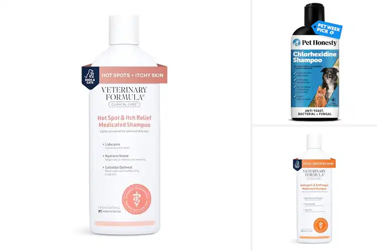 Detailed view of Best Itch Relief Shampoo For Dogs And Cats
