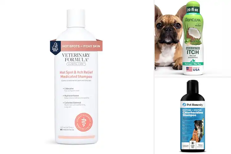 Detailed view of Best Itch Relief Shampoos for Dogs: Soothe Your Pup Fast