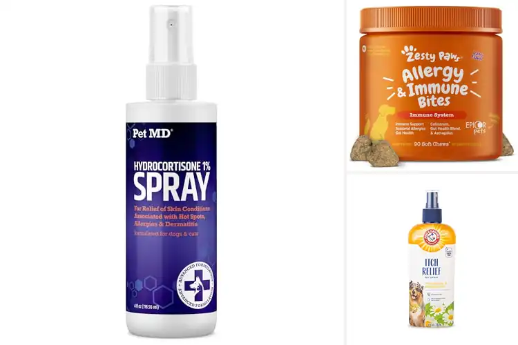 Detailed view of Best Itchy Skin Relief For Pets: 10 Fast Solutions
