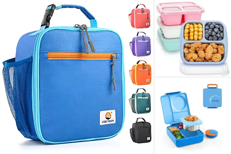 Detailed view of Best Kids Lunch Boxes