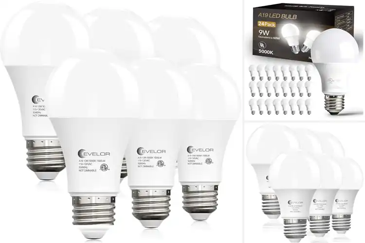 Detailed view of Best LED Bulbs