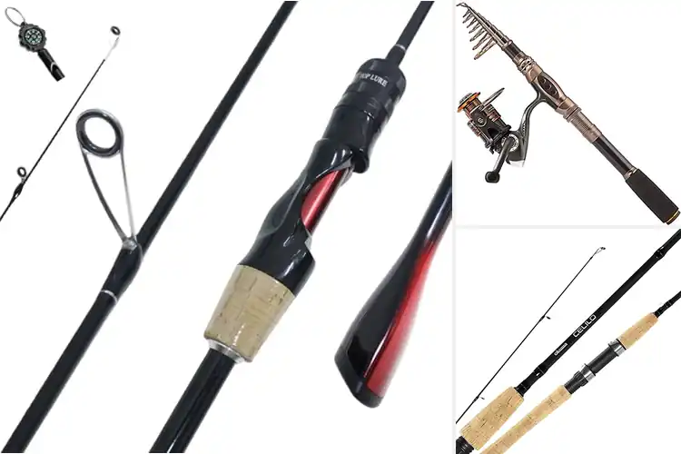 Detailed view of Best Lightweight Fishing Rods
