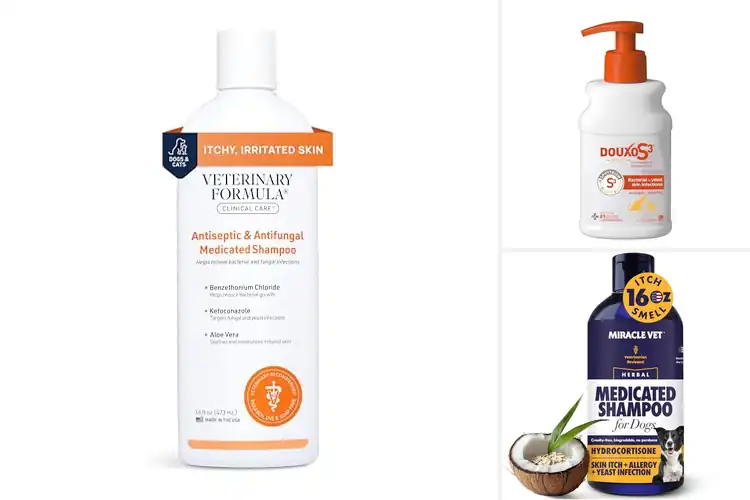 Detailed view of Best Medicated Dog Shampoos: 10 Soothing Picks