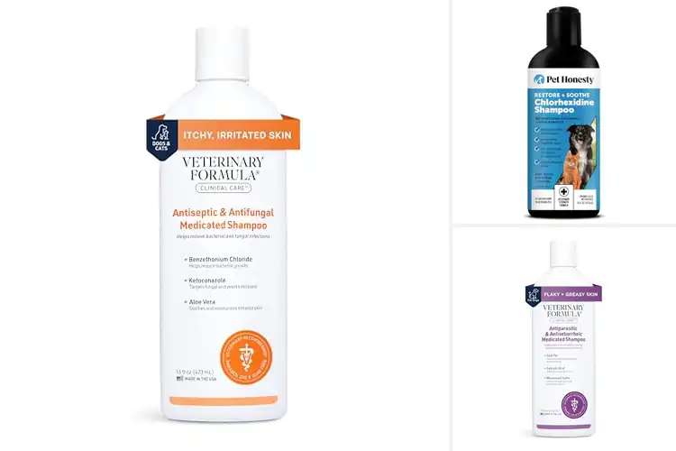 Detailed view of Best Medicated Shampoos For Pets: Soothe Skin & Relieve Itch