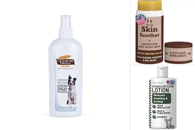 Detailed view of Best Non Irritating Dog Skin Care