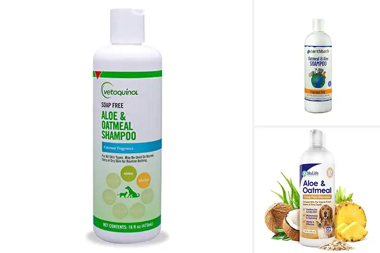 Detailed view of Best Oatmeal Aloe Conditioning Shampoos